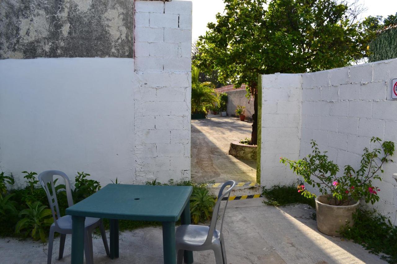 Casa Cuevas & Amaro
